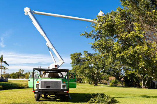 green forestry bucket trucks large trees